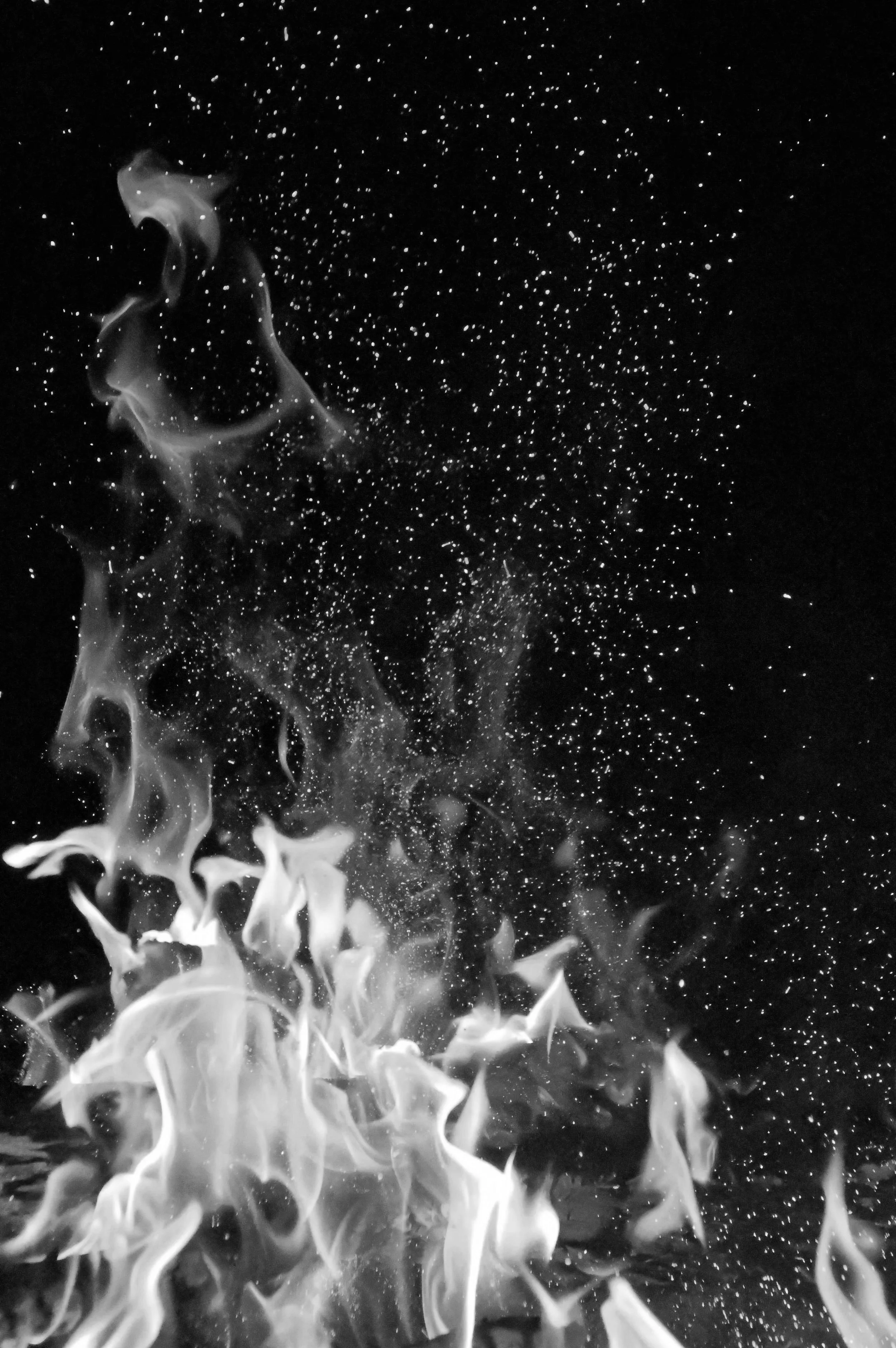 The Phoenix Phenomenon: Understanding the UK's Growing Corporate Fraud Crisis
