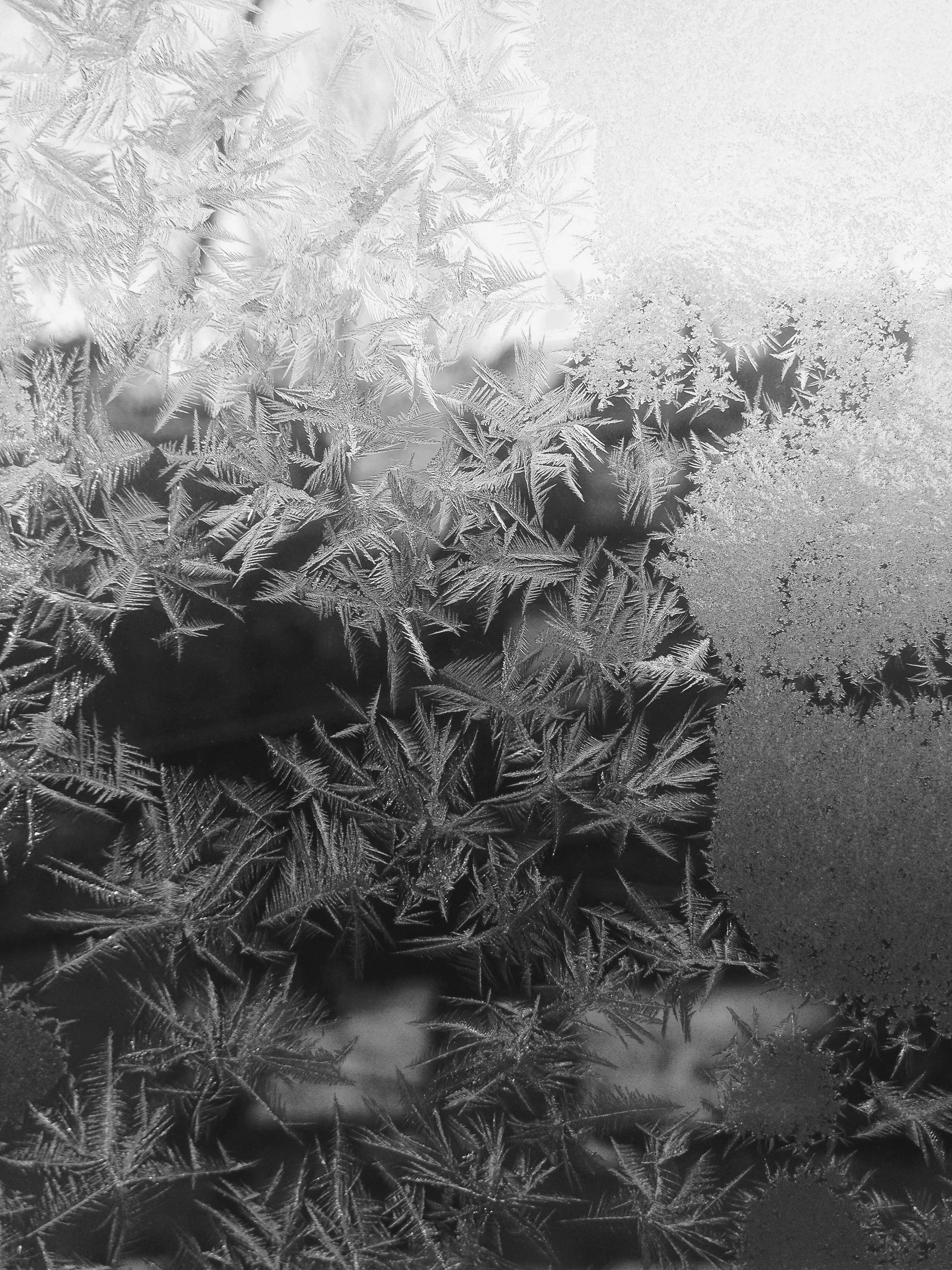 Using Intelligence to Support Freezing Orders: Practical Guidance for Legal Teams