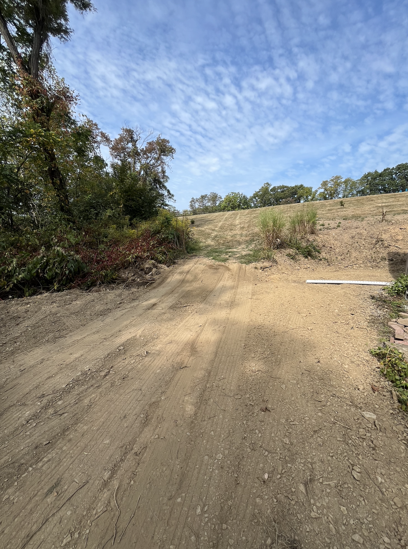 Screen Shot 2025-09-27 at 12.41.51 PM.png