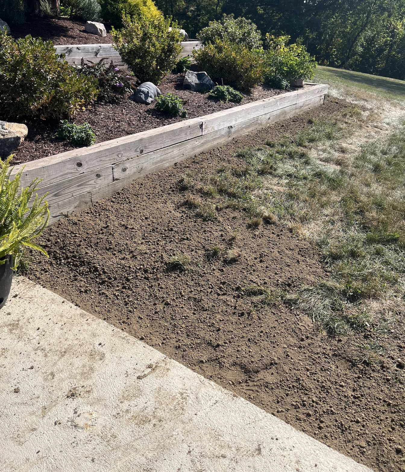 Screen Shot 2025-10-25 at 9.03.53 AM.png