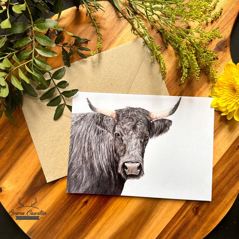 welsh cattle Card web 23.jpg