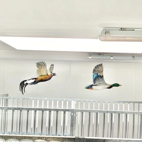 Two bird murals painted on a white wall, with a metal railing in front.