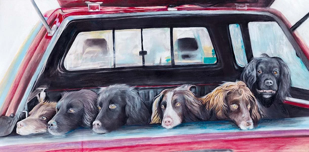 Six dogs lying in the back of a red pickup truck with the tailgate down, the truck bed is visible behind them.