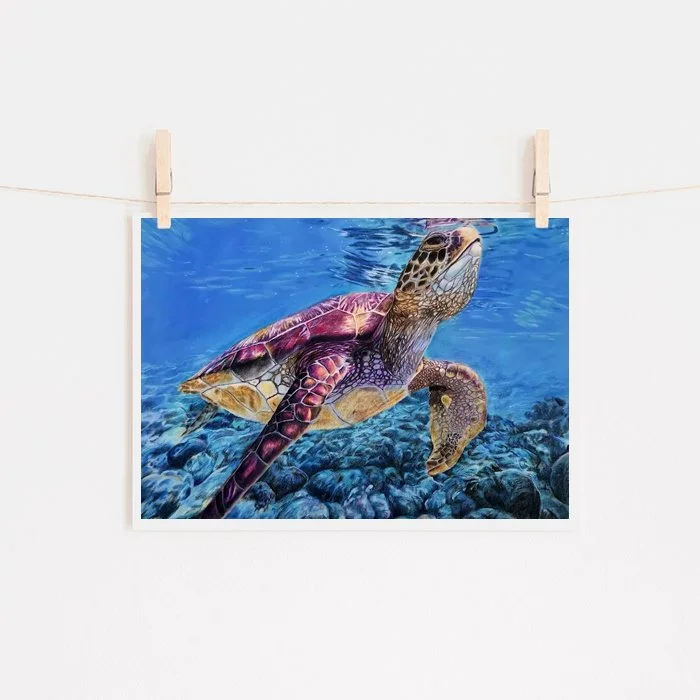 Sheldon - Sea Turtle Giclée Print | Award-Winning Hand-Drawn Artwork | Limited Edition