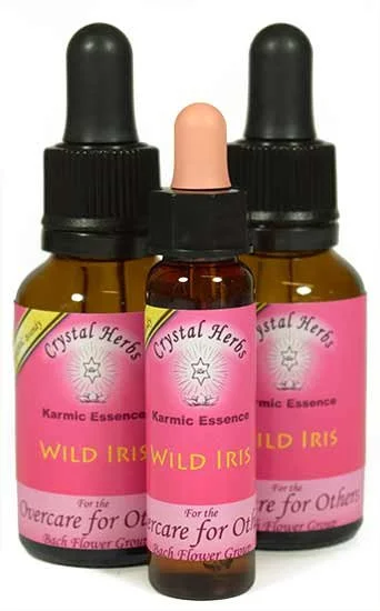 Wild Iris Karmic Essence