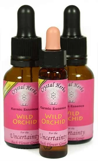 Wild Orchid Karmic Essence
