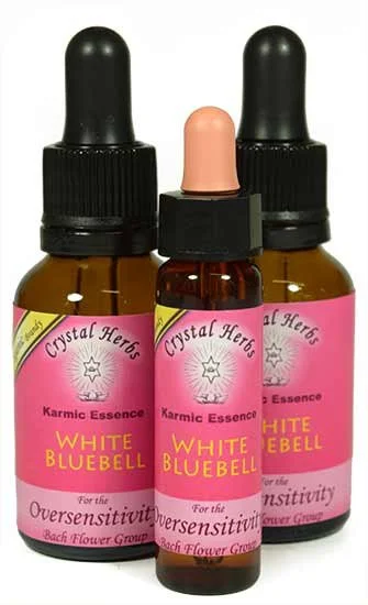 White Bluebell Karmic Essence