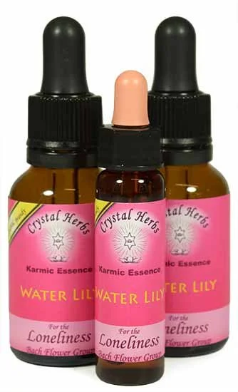 Water Lily Karmic Essence