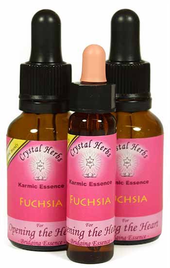 Fuschia Karmic Essence