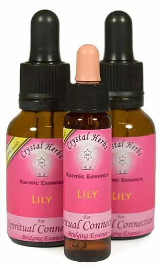 Lily Karmic Essence