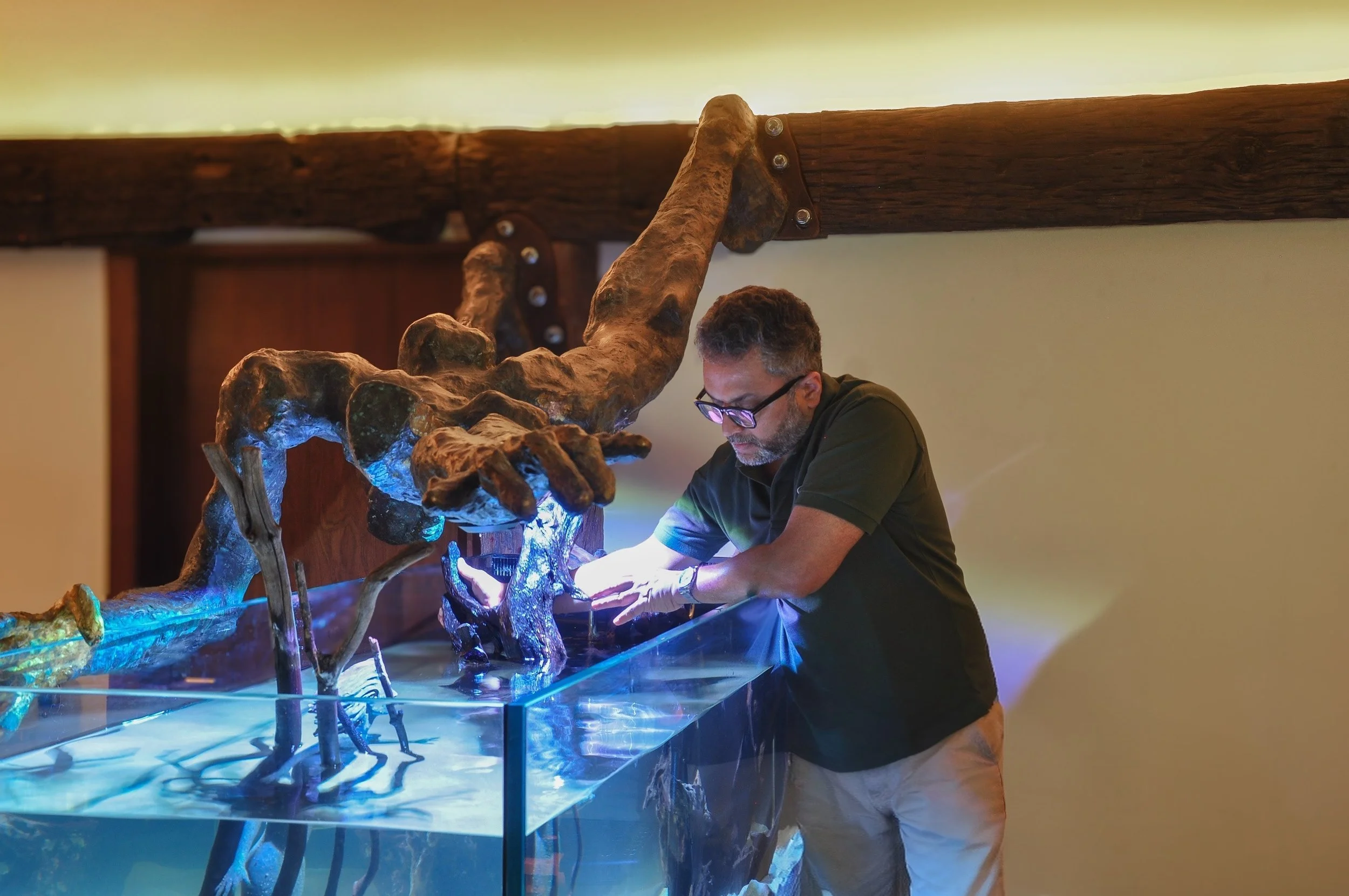 Aquascaping: The global design art that’s flowing into India’s creative mainstream