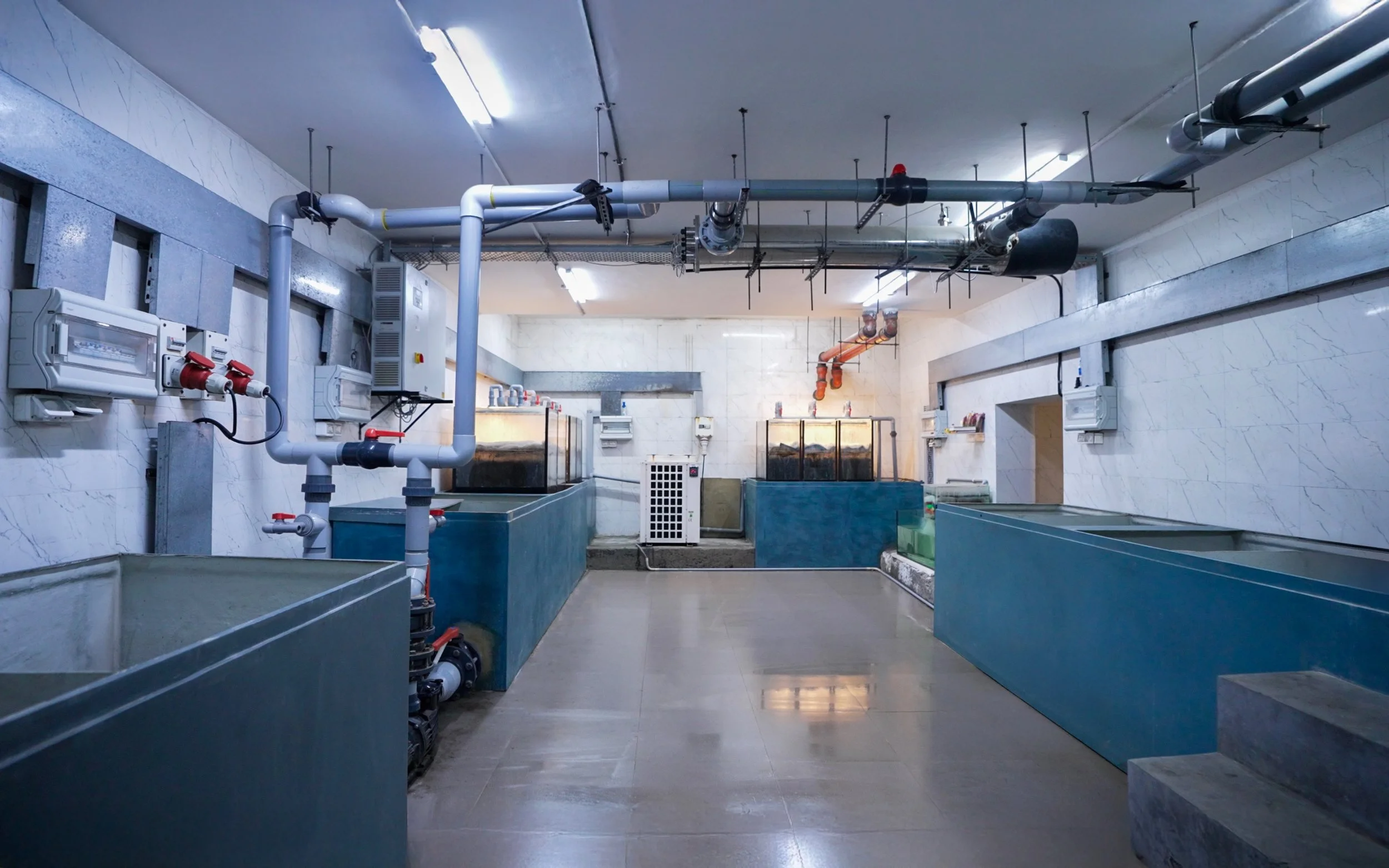 Interior of an industrial fish tank facility with large blue tanks, overhead pipes, and electrical panels on the walls.