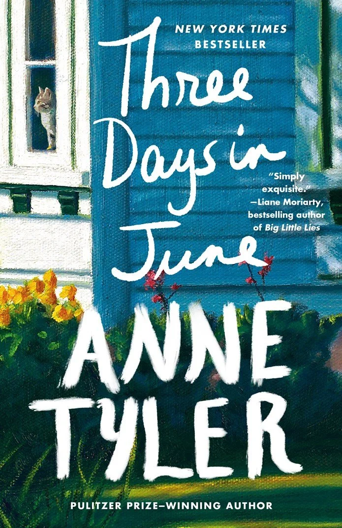 A socially awkward mother of the bride navigates the days before and after her daughter's wedding. Told with deep sensitivity and a tart sense of humor, full of the joys and heartbreaks of love and marriage and family life.
