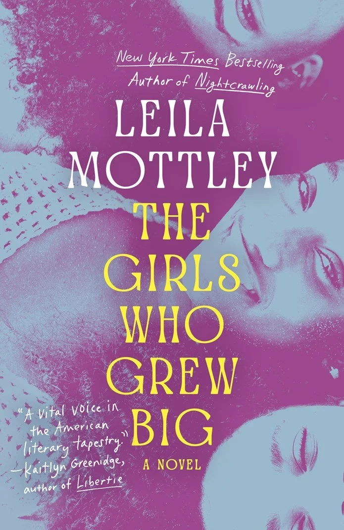 An astonishing new novel about the joys and entanglements of a fierce group of teenage mothers in a small town on the Florida panhandle.
