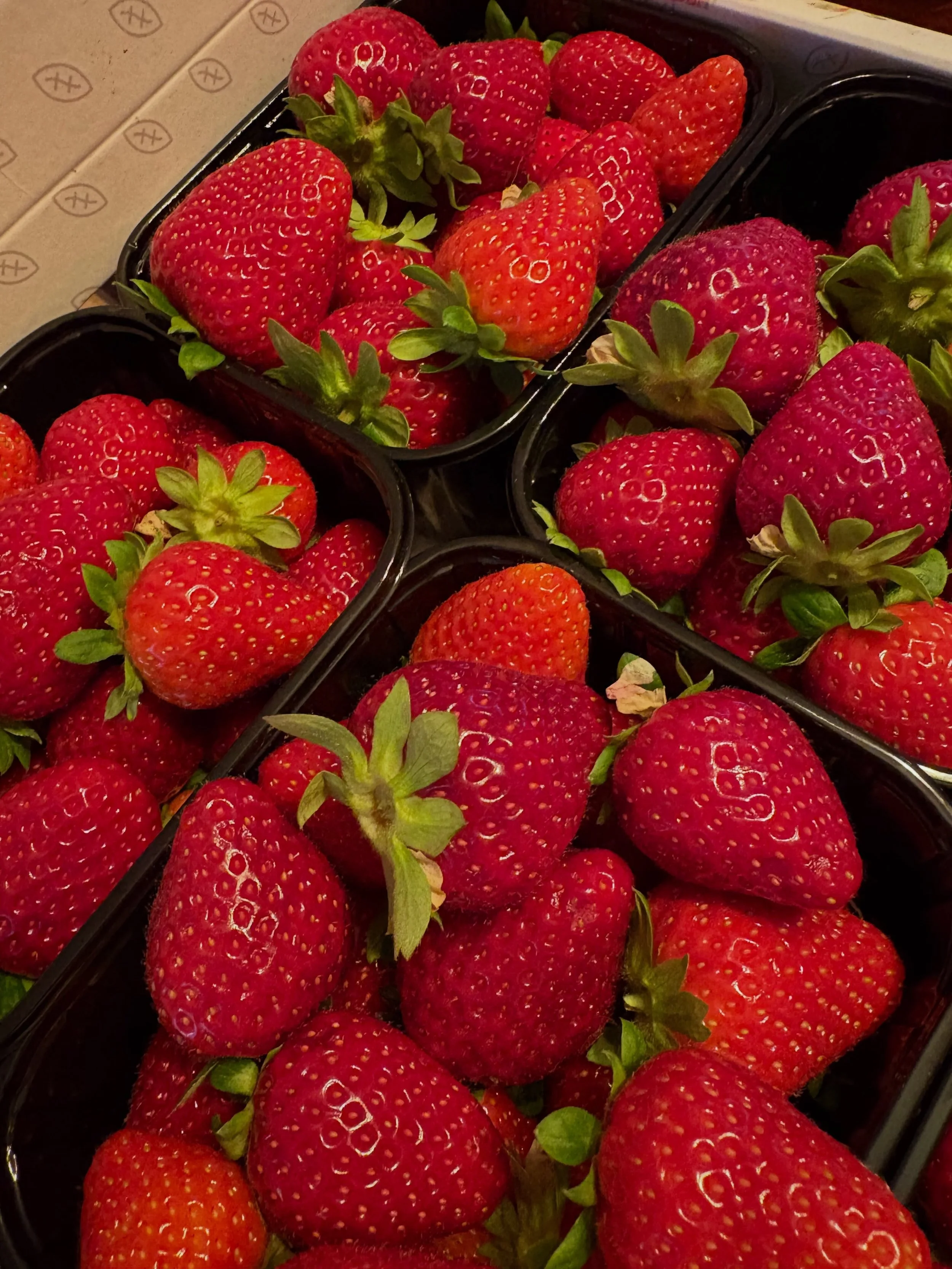 ✨ Nieuwe smaak!! 🍓

Voor deze limited summer edition bundelen we onze krachten met de Gebroeders Baks &amp; Ko. 

De heerlijke biologische aardbeien van de Gebroeders Baks &amp; Ko vormen samen met zorgvuldig geselecteerde biologische sinaasappels d