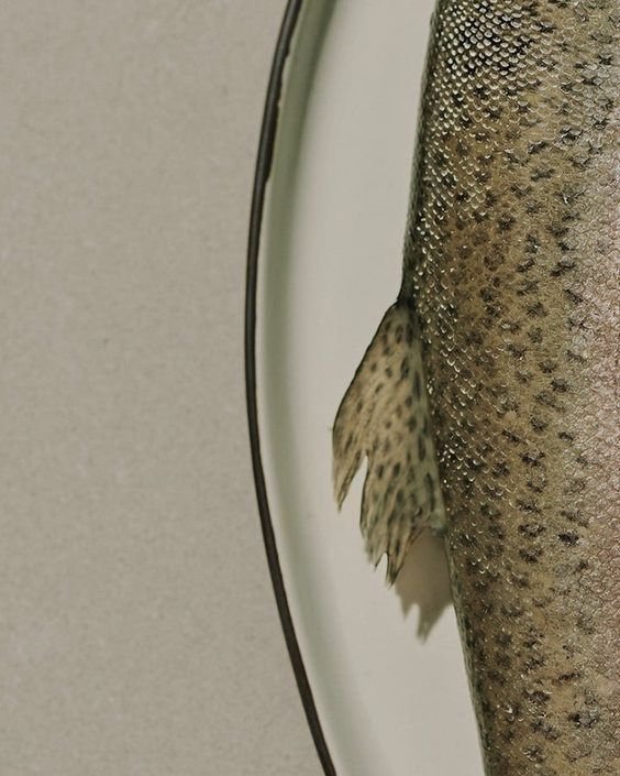 Close-up of a fish's tail sticking out from behind a large fish with textured, speckled skin.