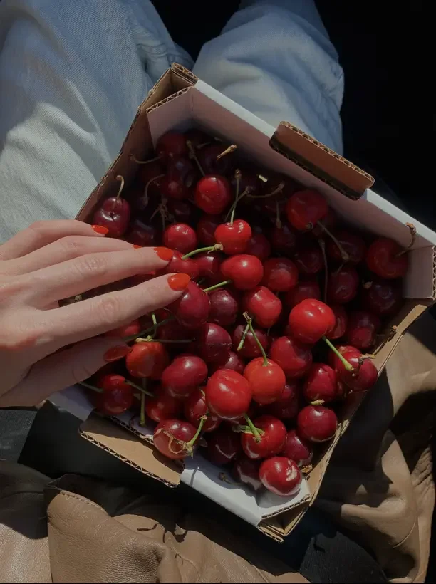 A person with orange-painted nails holding a box of fresh red cherries, while sitting in a seat with denim and beige clothing visible.