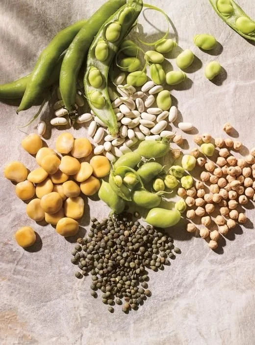 A variety of fresh beans and peas including green beans, chickpeas, yellow peas, broad beans, black lentils, and garbanzo beans arranged on a light surface.