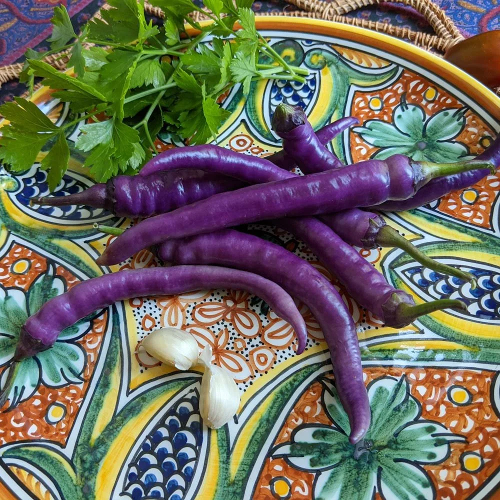 Pepper 'Buena Mulata'_for web.jpg