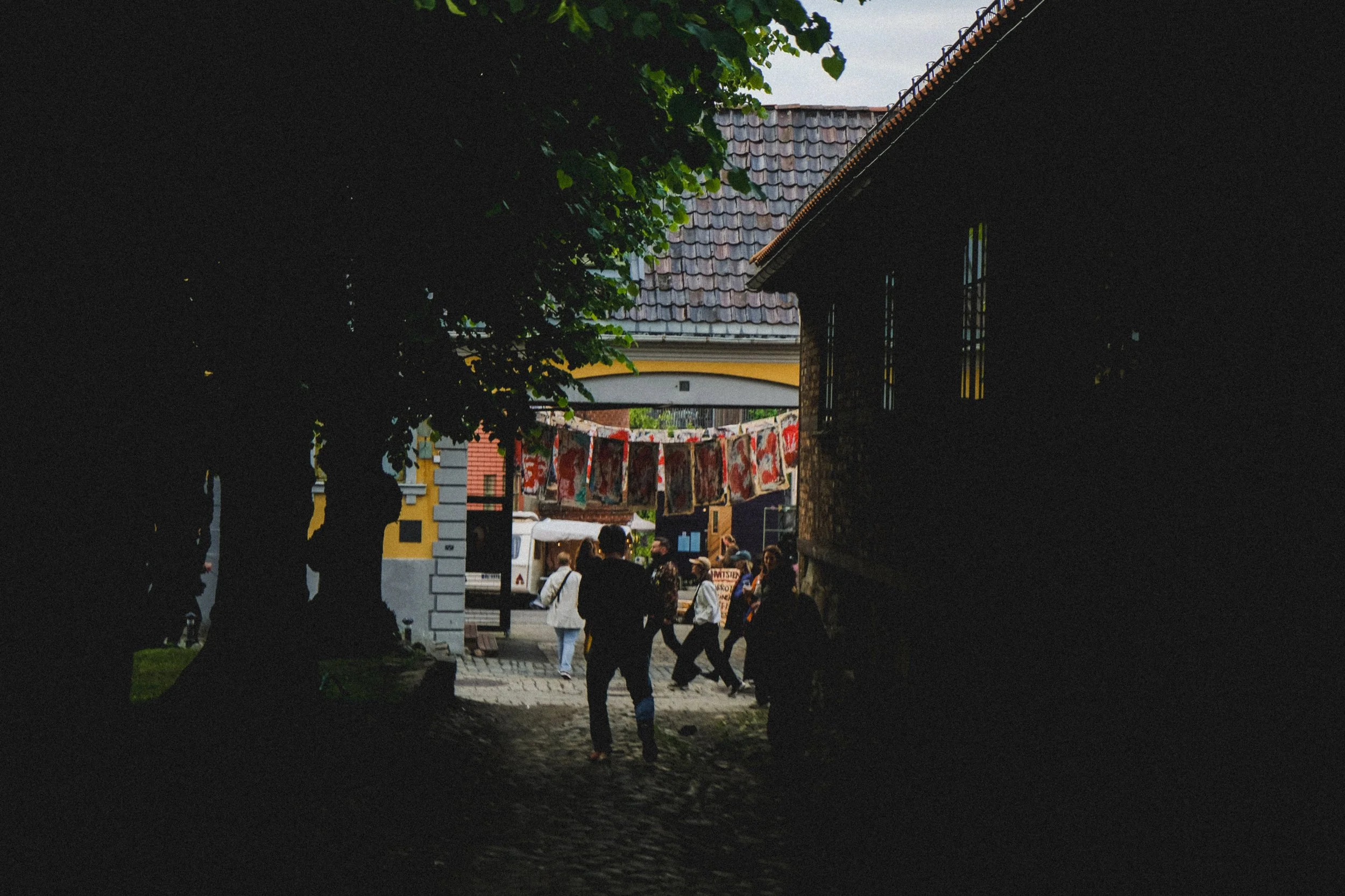 DSCF1033.jpg