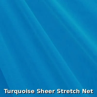 turquoise_sheer_stretch_net.jpg