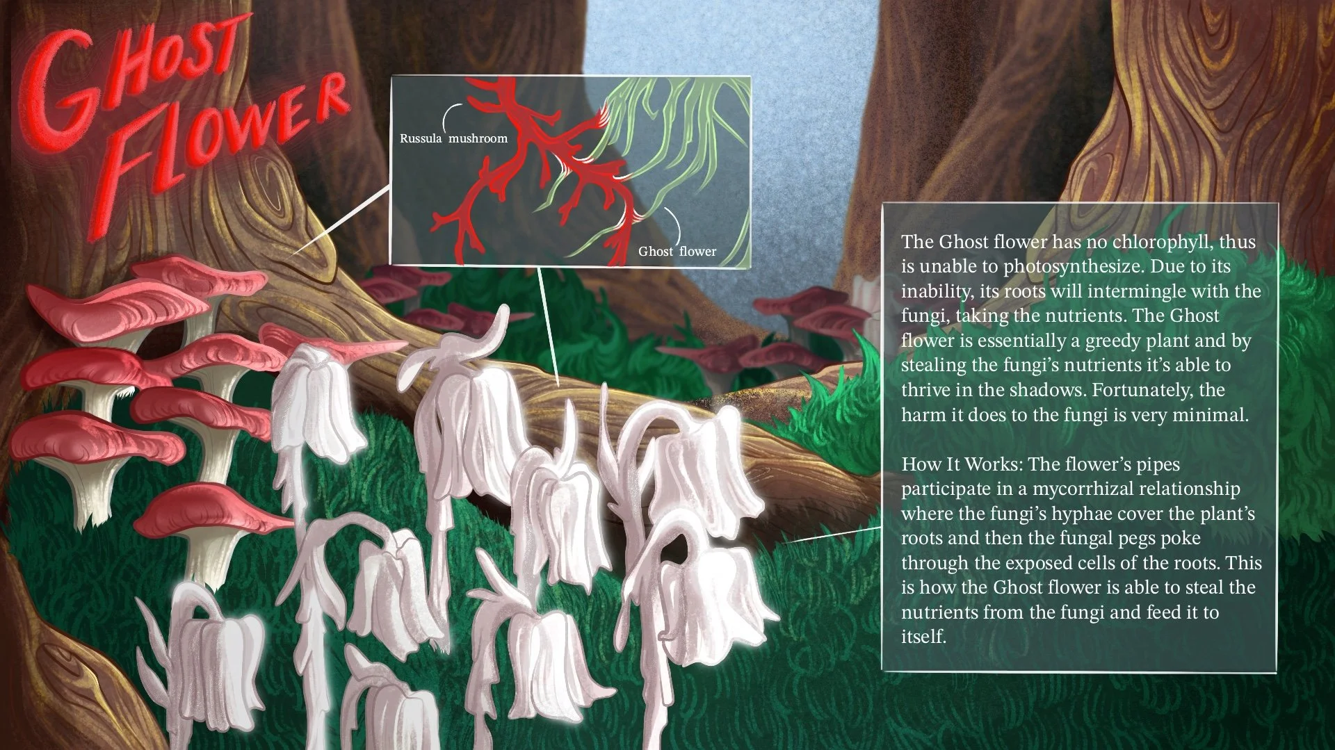 "Ghost Flower AD"
Procreate, 2024