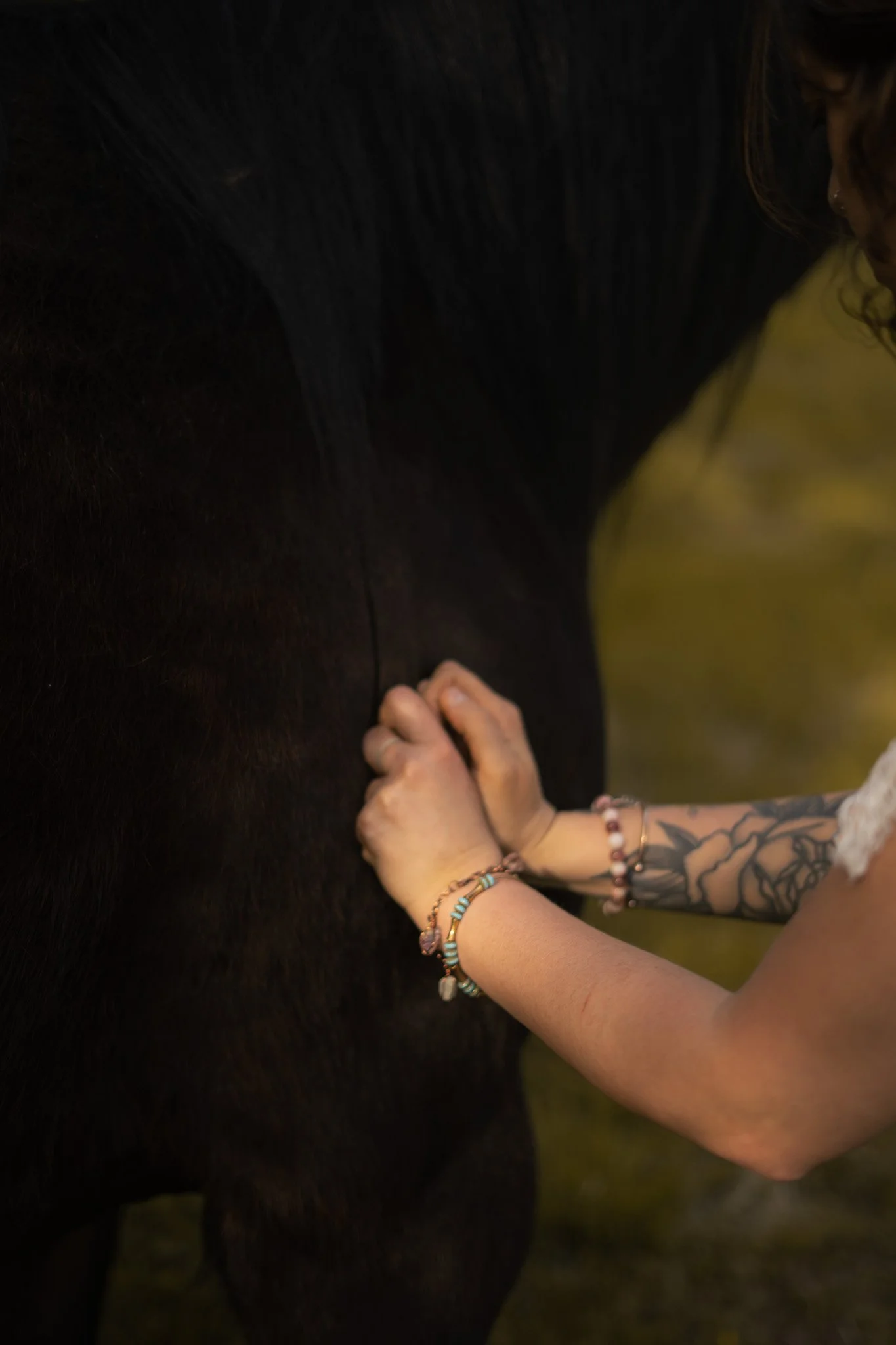 Person's hands grooming a black horse, with tattooed arm and bracelets visible.