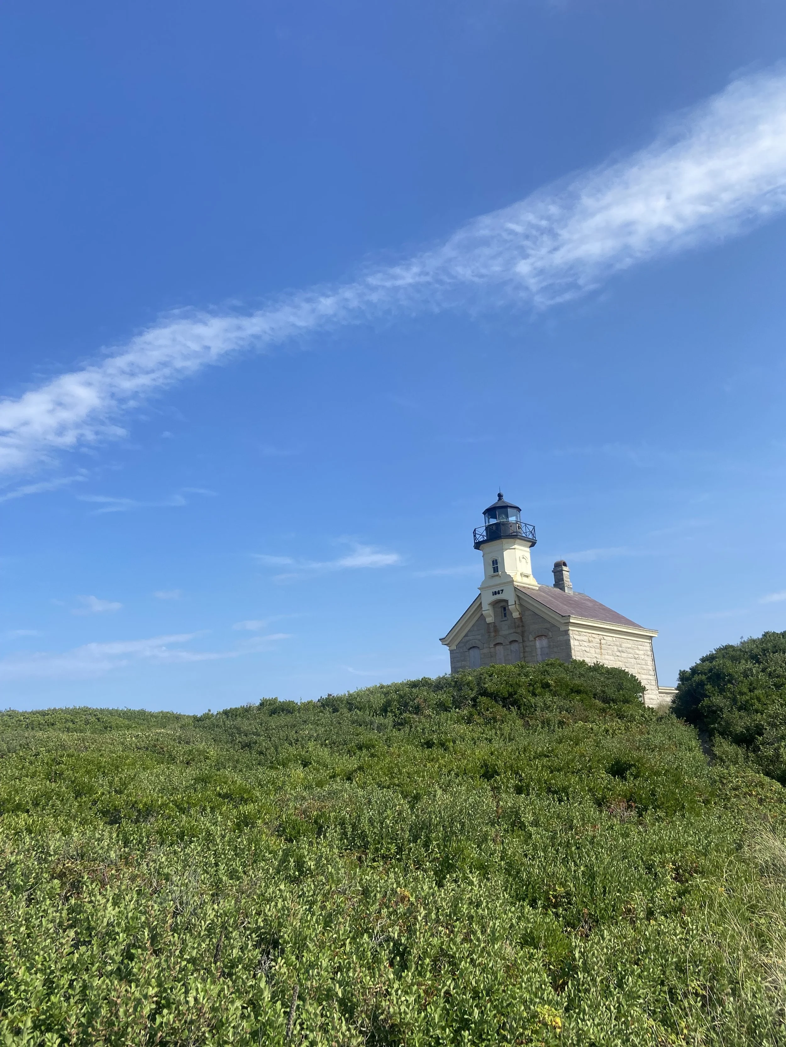 Lighthouse with greenery field in front of it and blue sky behind it.