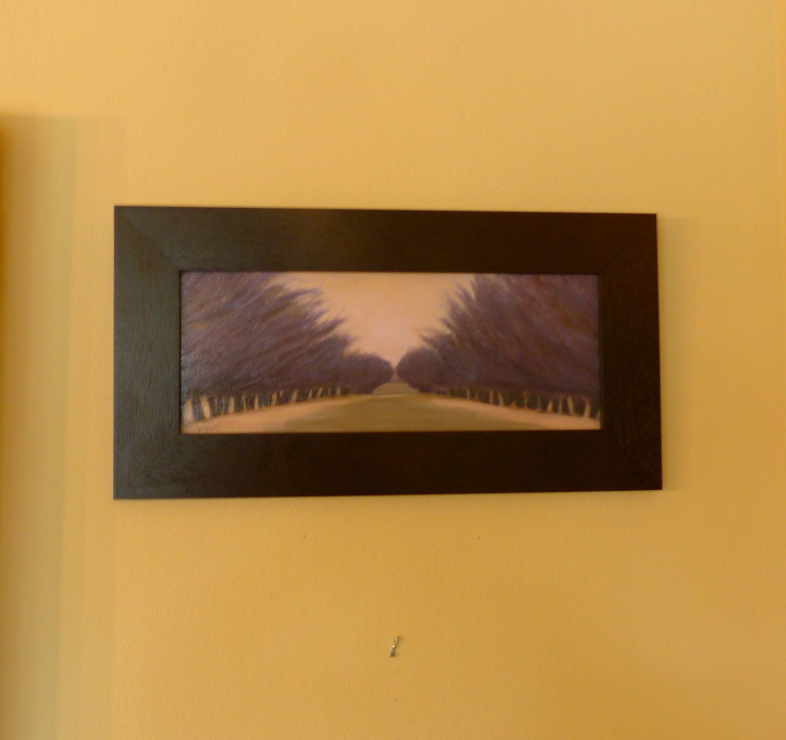 P1040070a.JPG