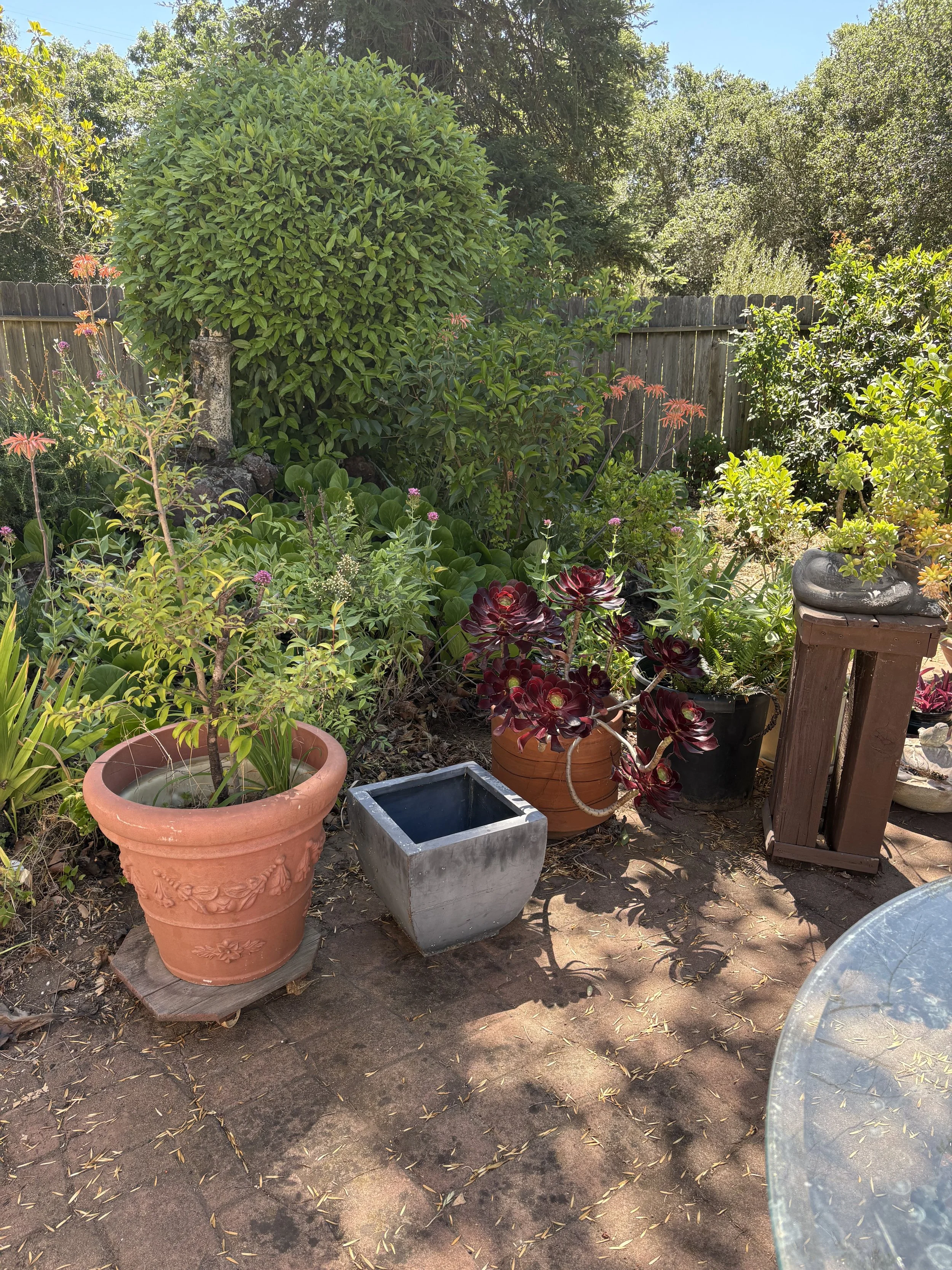 IMG_0307.jpeg