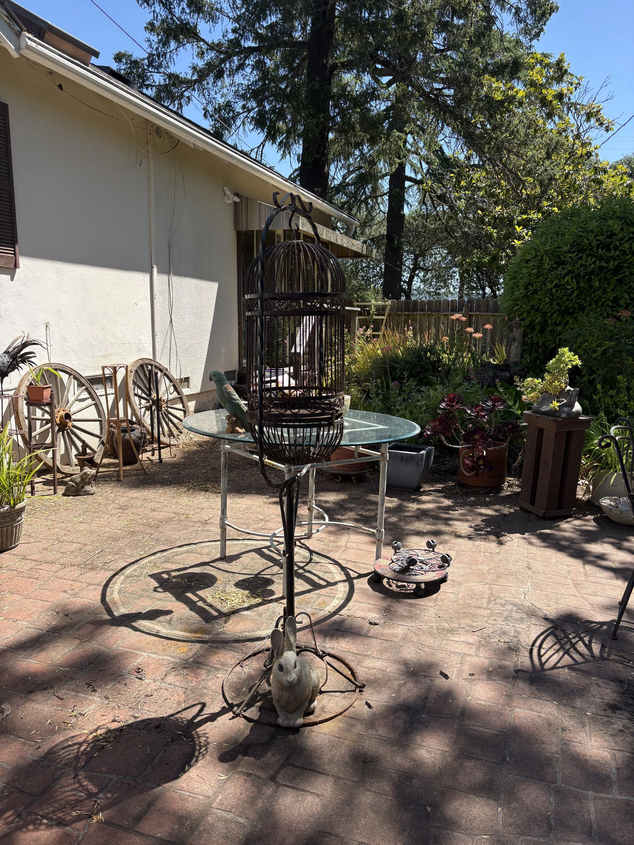 IMG_0309.jpeg