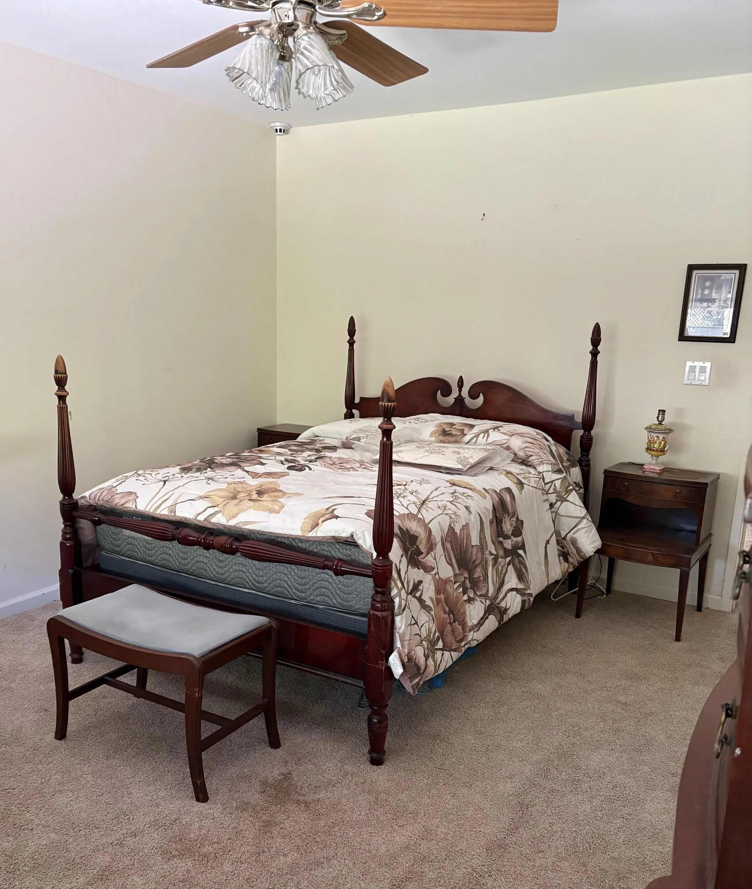 IMG_0669.jpeg