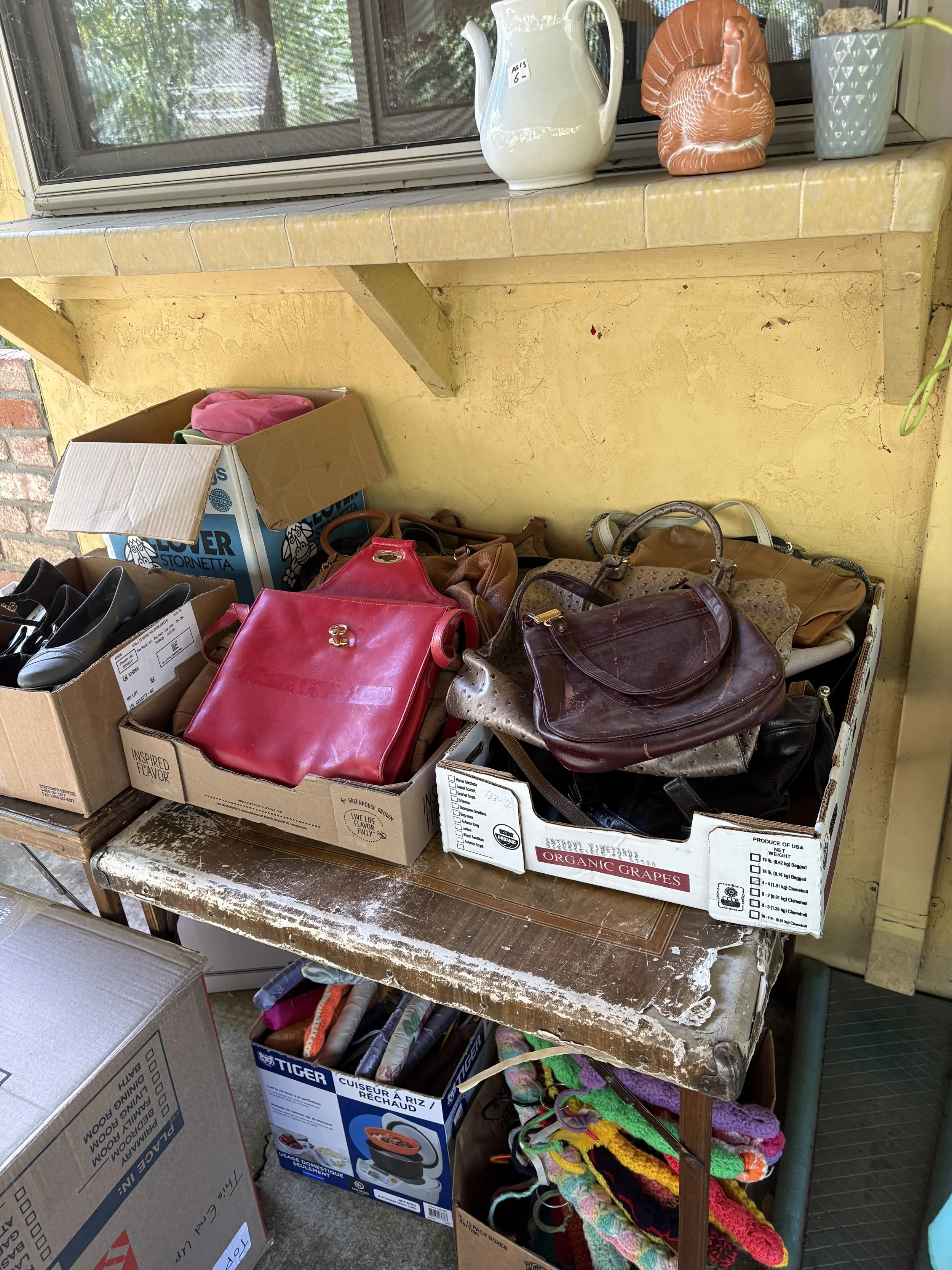 IMG_0707.jpeg
