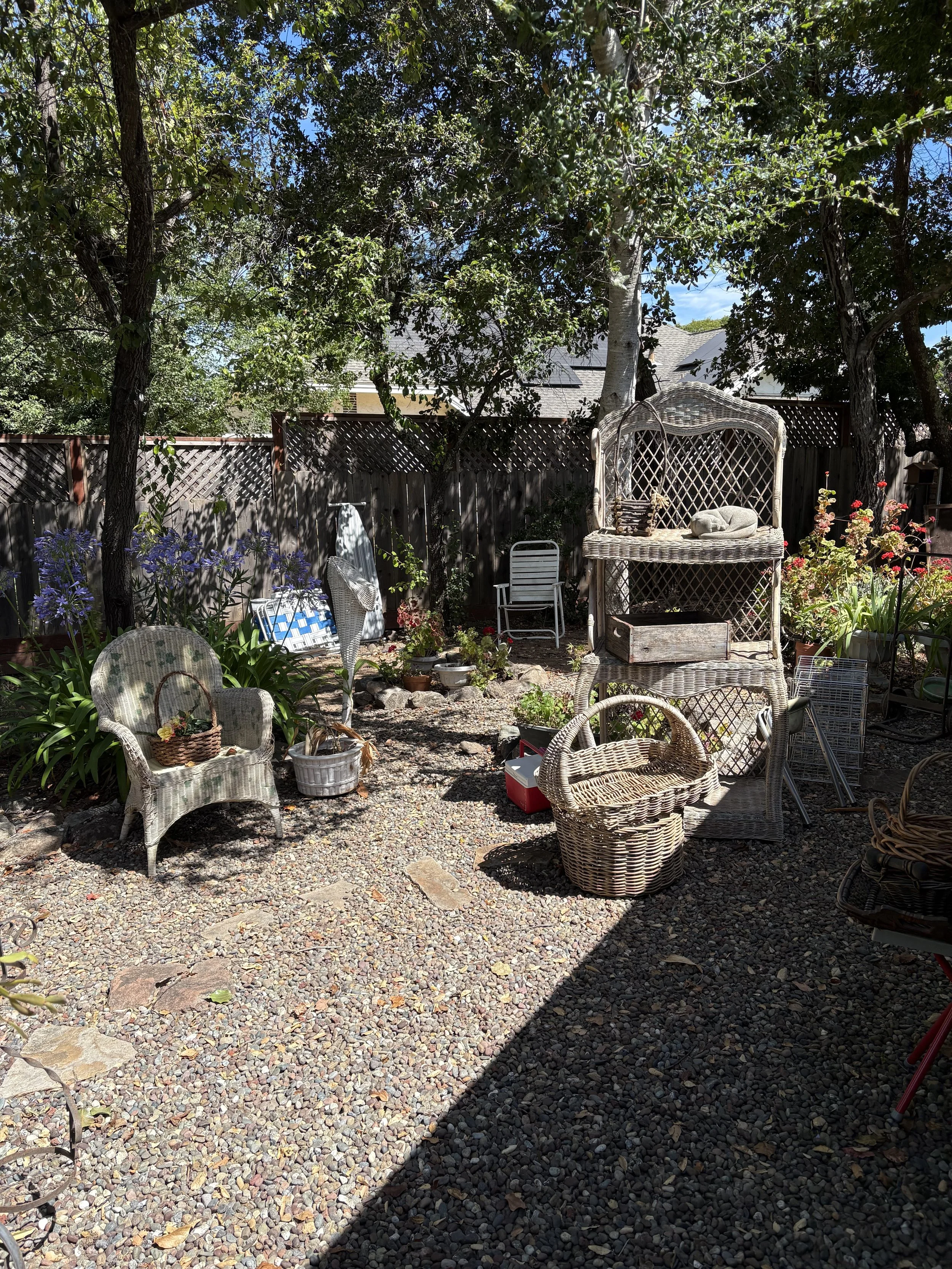 IMG_0712.jpeg