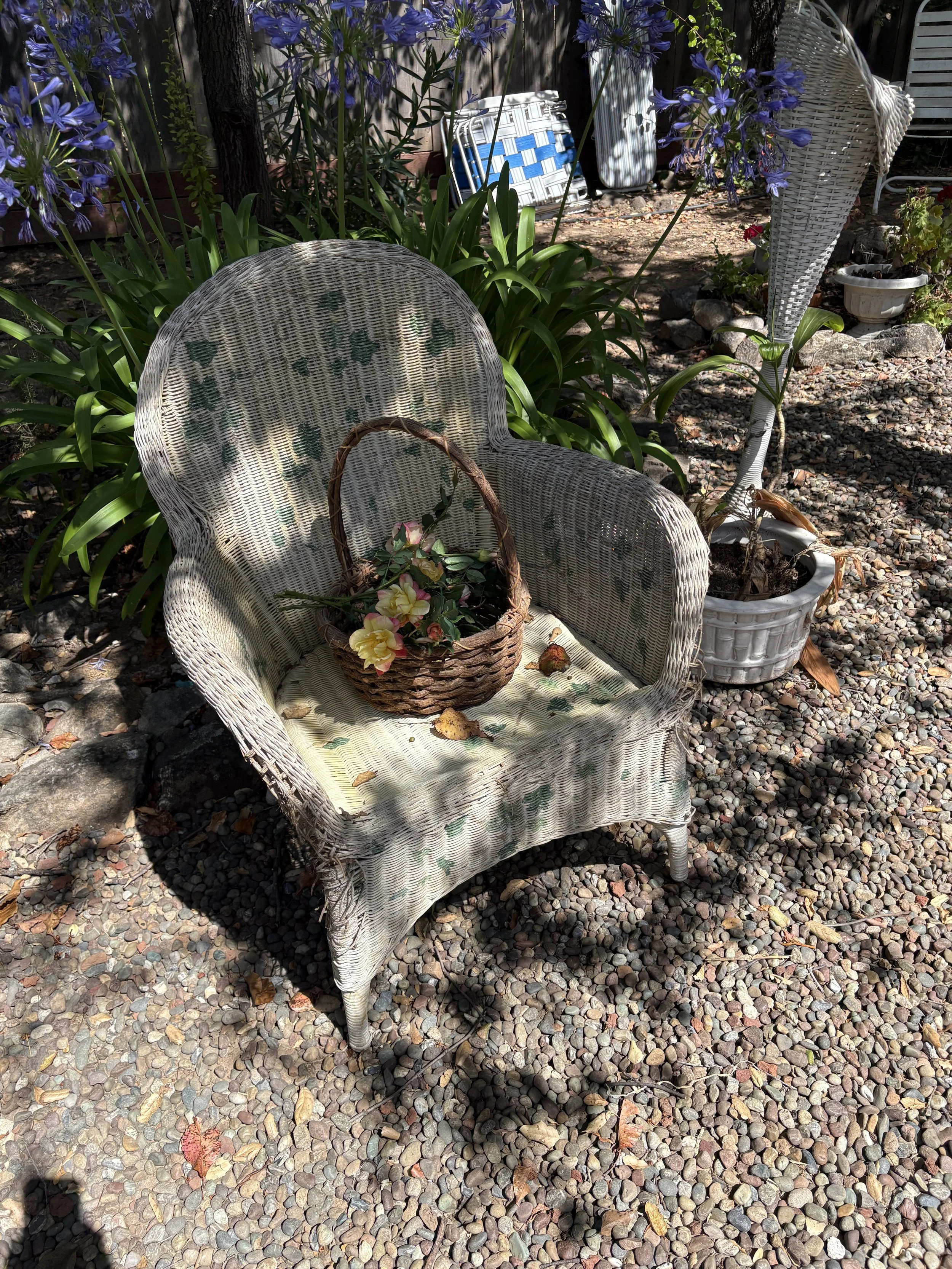 IMG_0715.jpeg