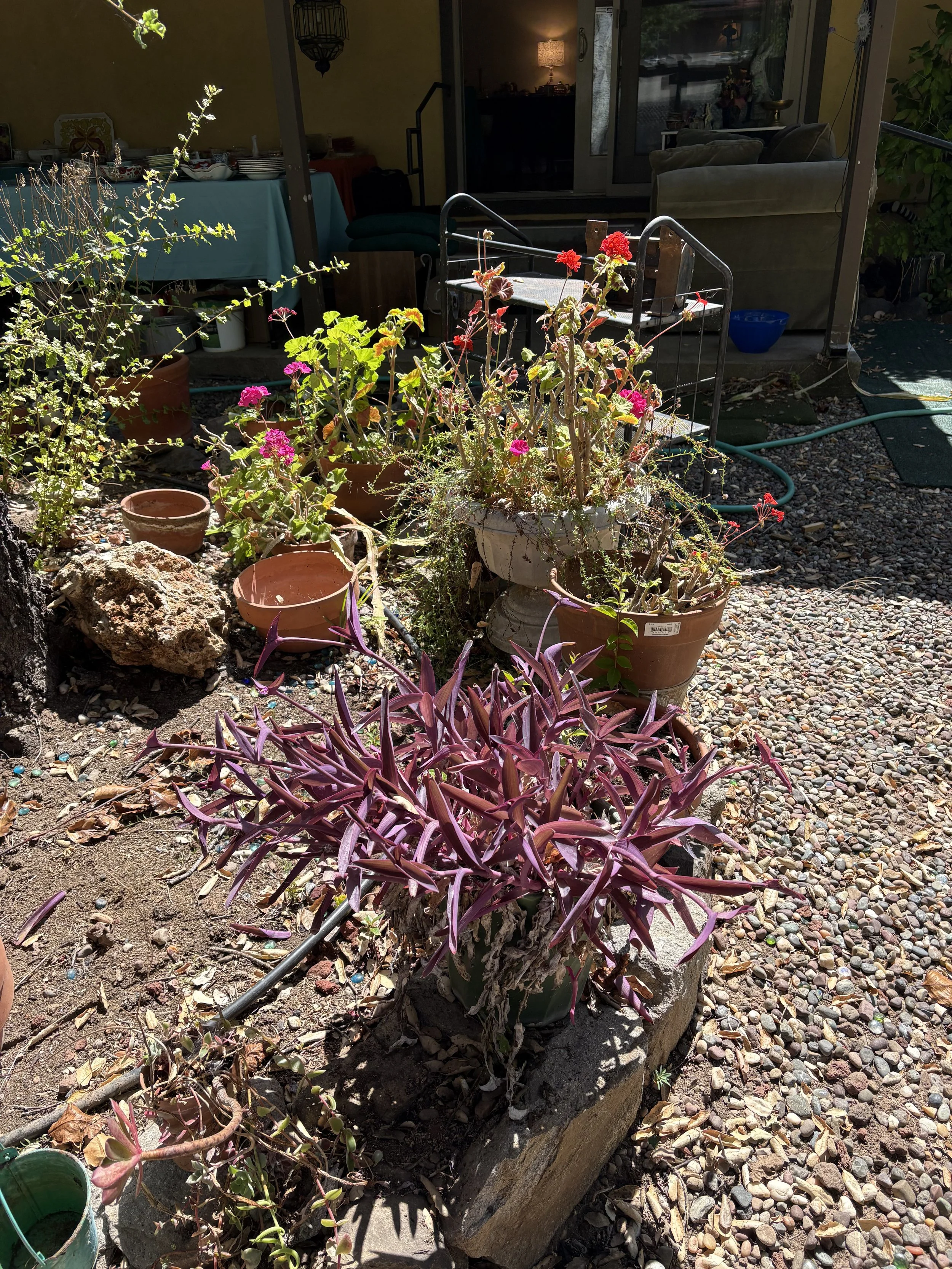 IMG_0719.jpeg