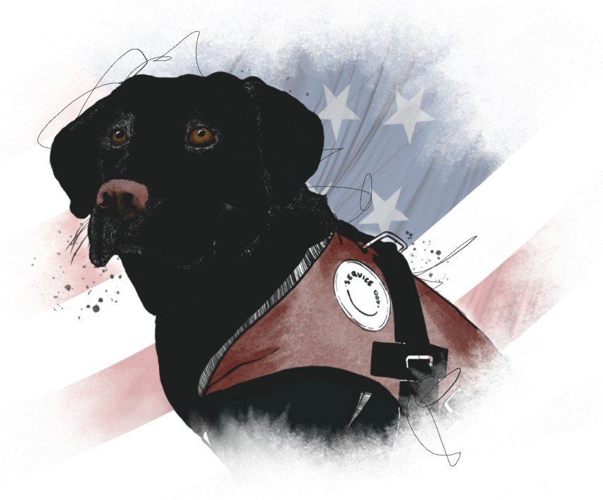 Hazel The Wonder Dog in vest.jpg