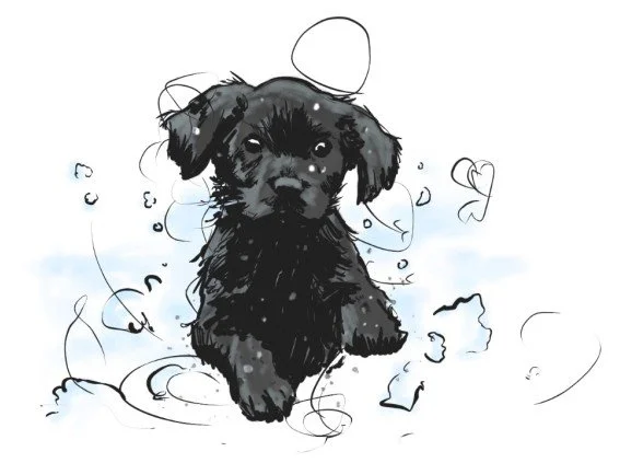 Hazel The Wonder Dog puppy.jpg