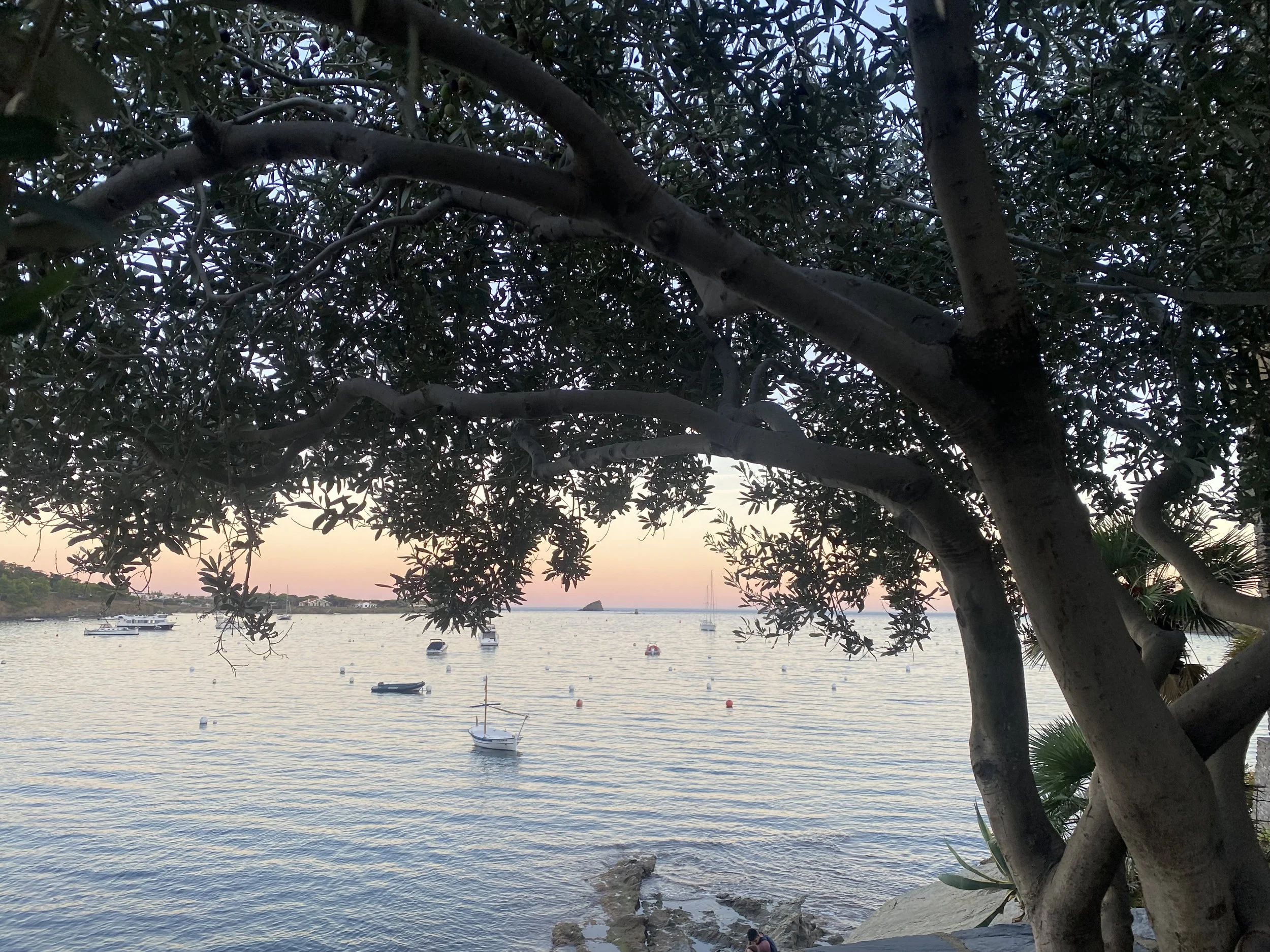 IMG_9987.jpeg