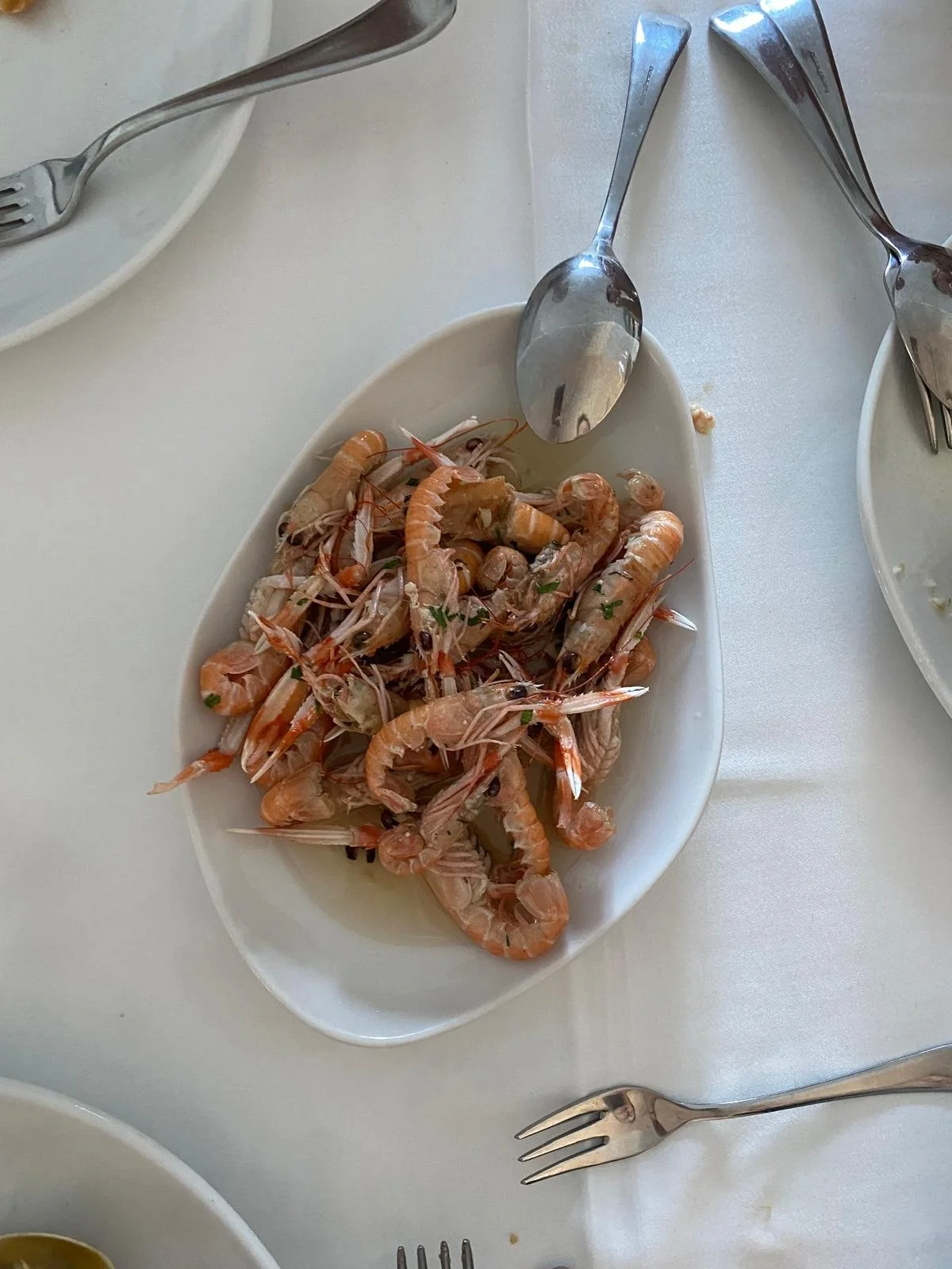 WhatsApp Image 2026-07-25 at 15.51.49 (2).jpeg