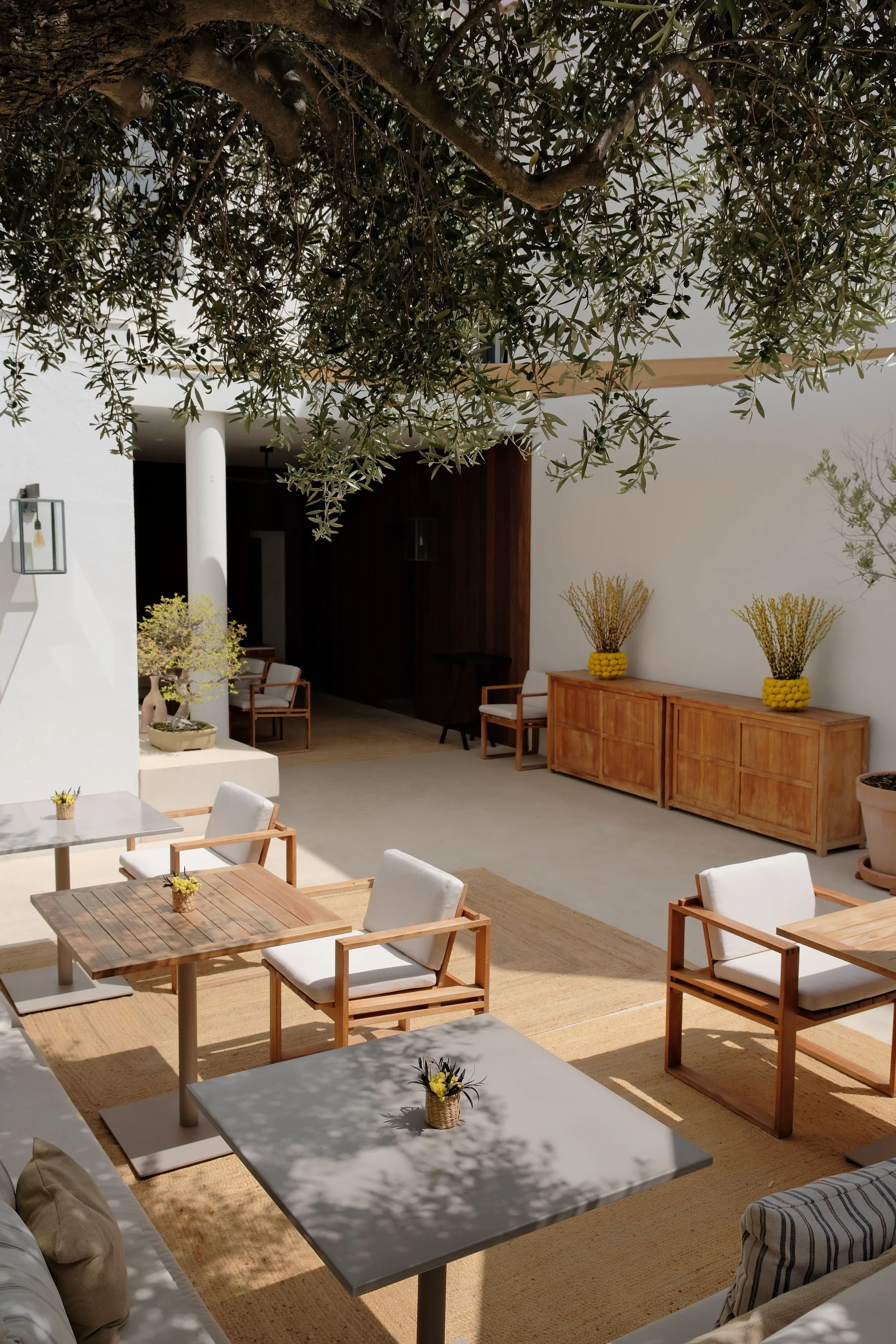 miramar-jardin1.JPG