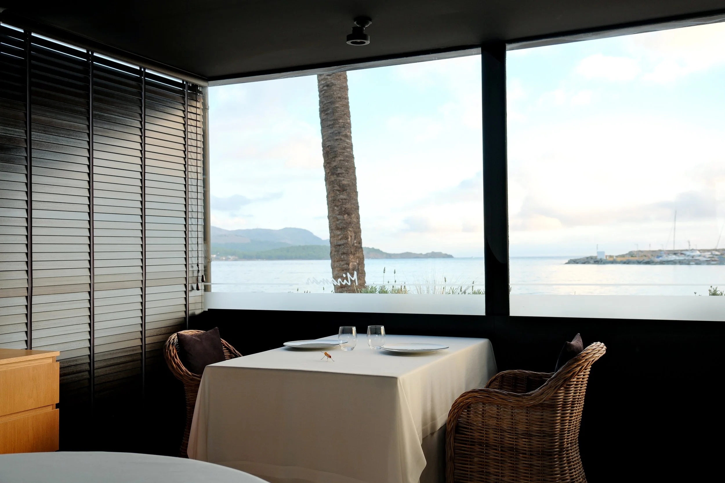 View of a table in a restaurant overlooking the sea, with two glasses of water and plates, surrounded by wicker chairs, in an interior setting with large windows and view of palm trees, water and mountains.