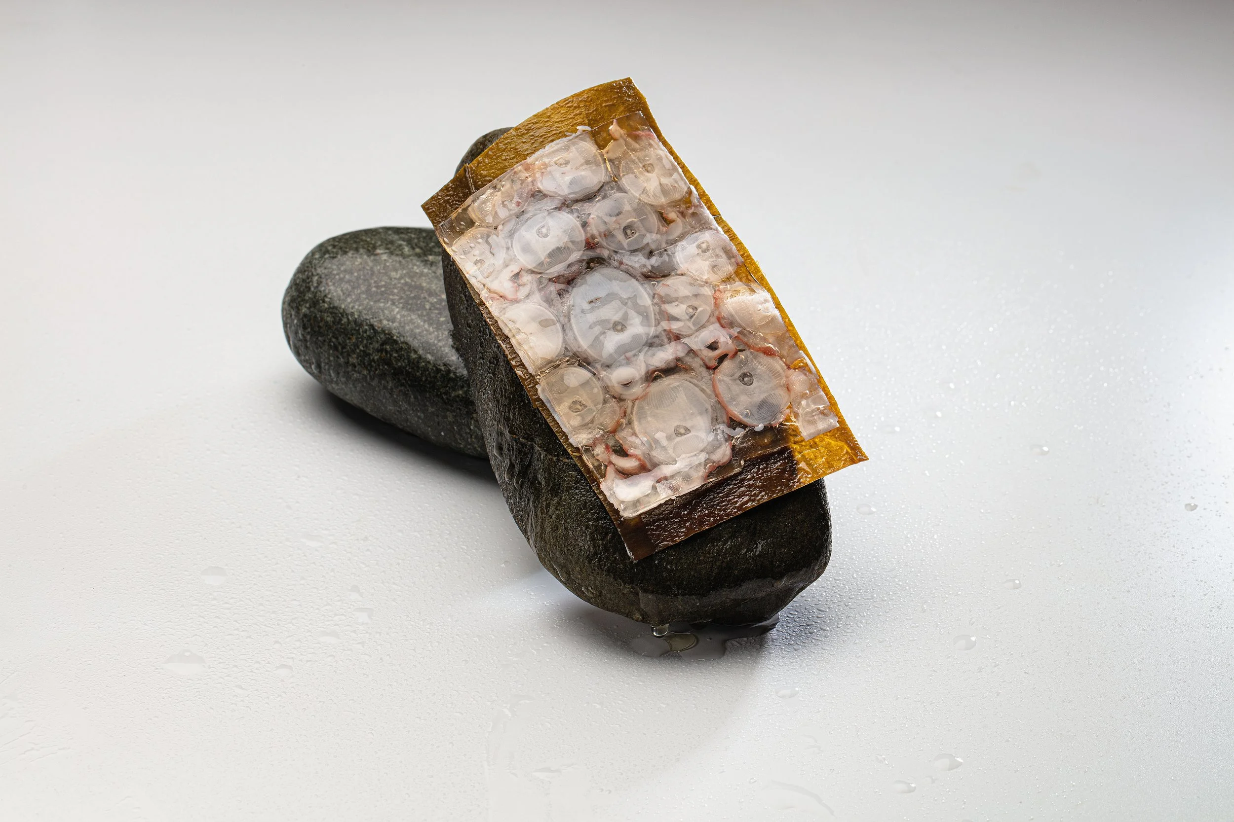 Una piedra con una lámina de gelatina de algas y mariscos encima.
