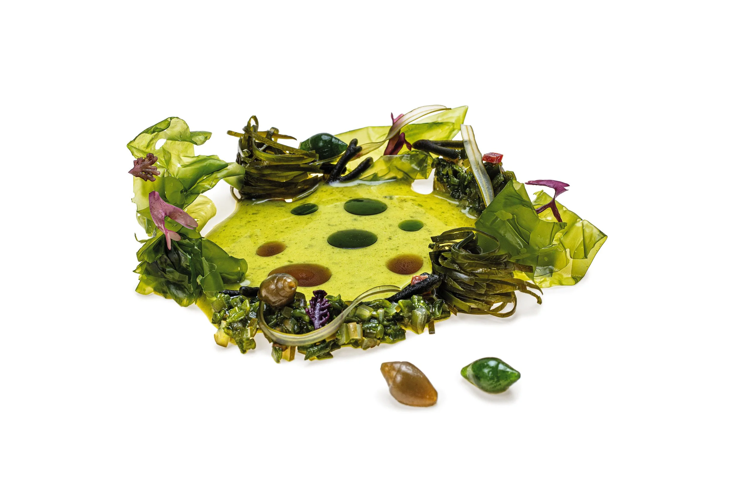 Plato de sopa verde decorada con algas, hojas y gotas de diferentes colores.