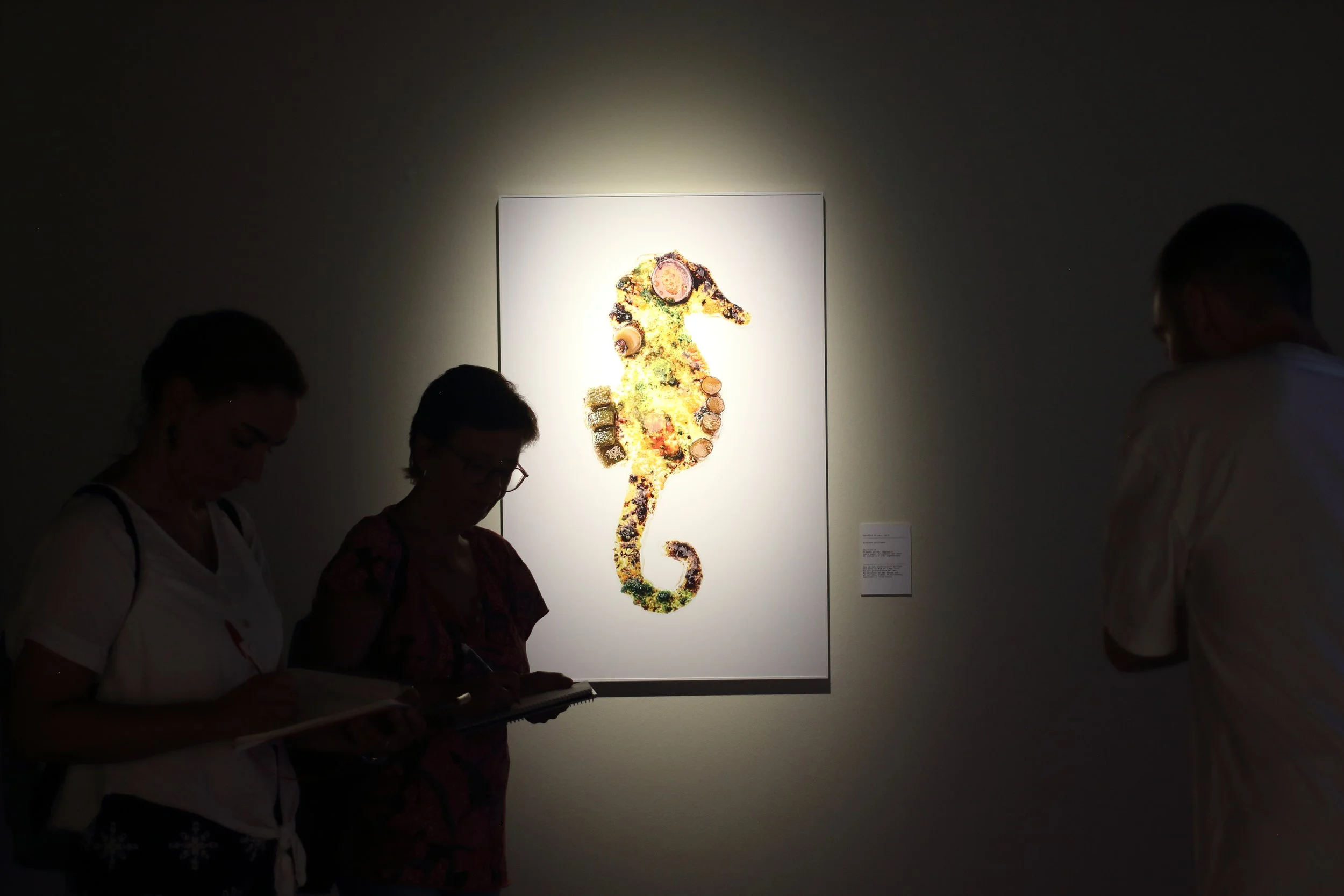 Miramar. Exploracions a la Mar d’Amunt