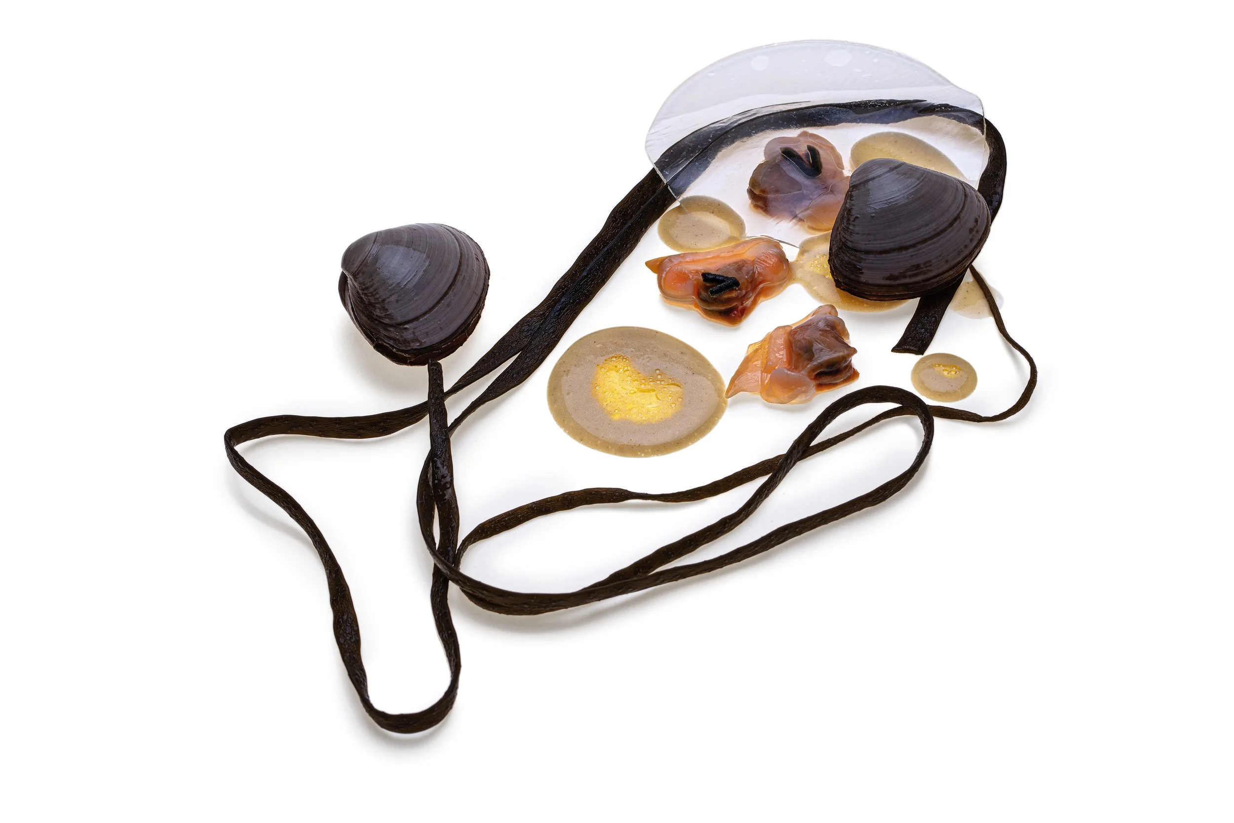 Colección de objetos de spielzeug, incluyendo conchas, lava, y otros elementos en diferentes colores y formas.