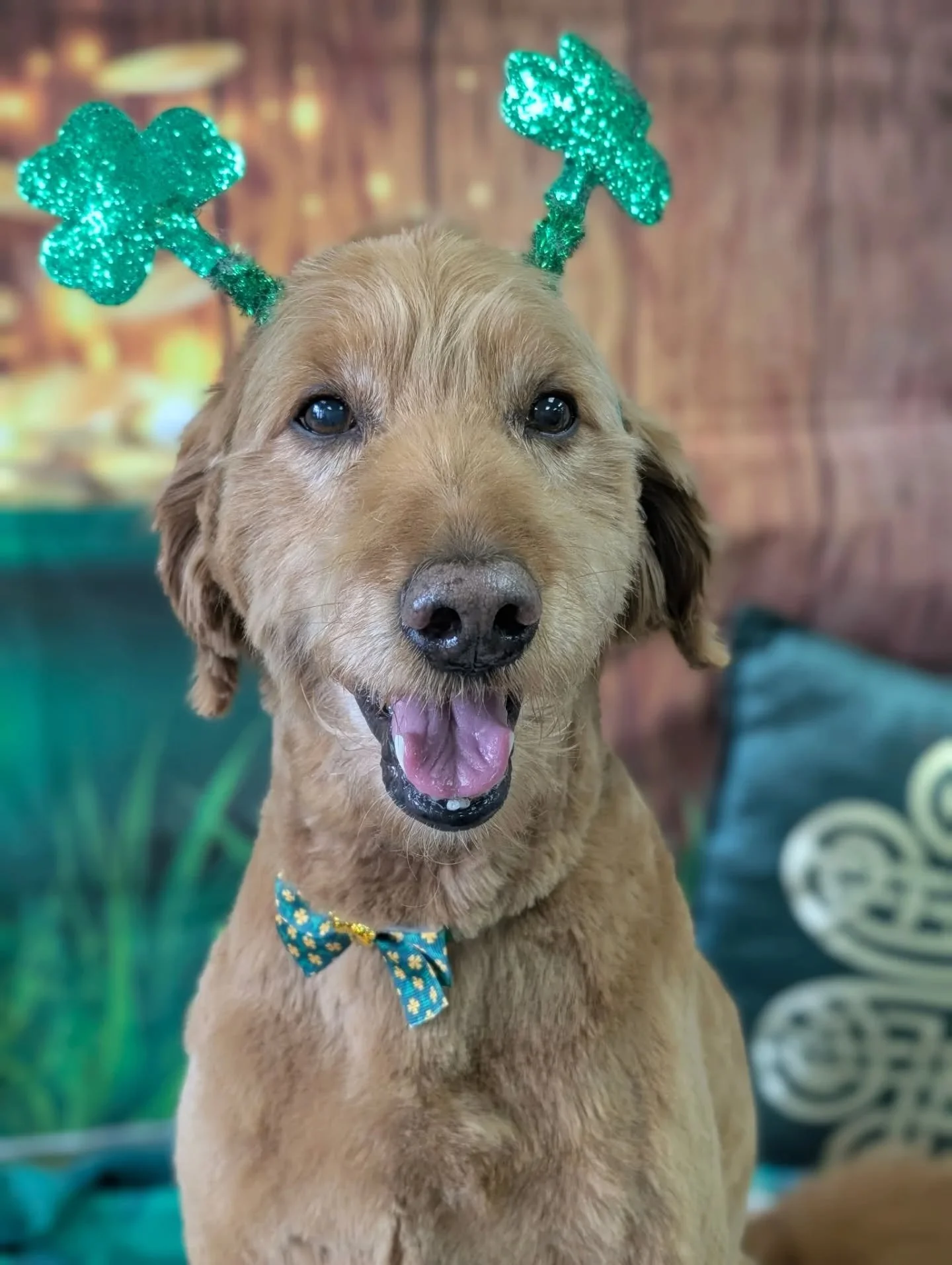 Happy St. Patrick's Day!!!