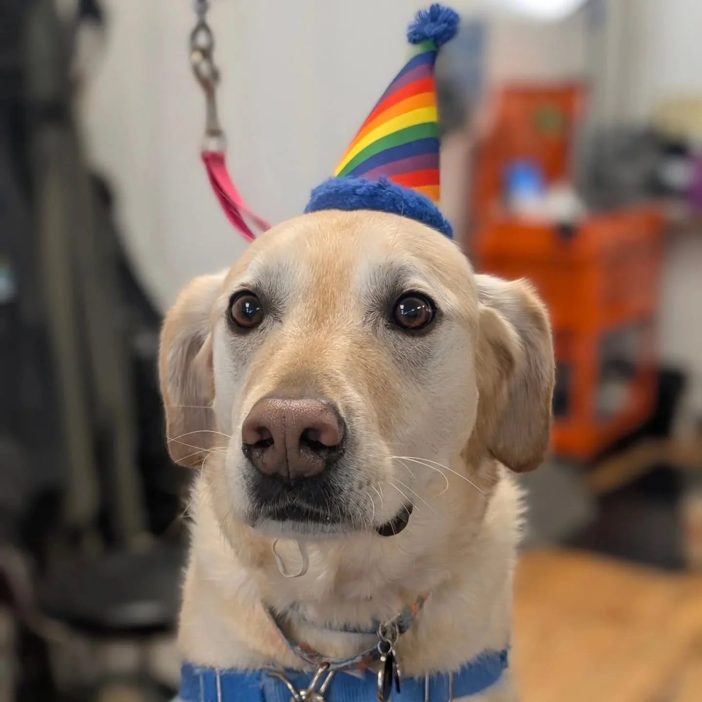 Happy birthday Leo!!!