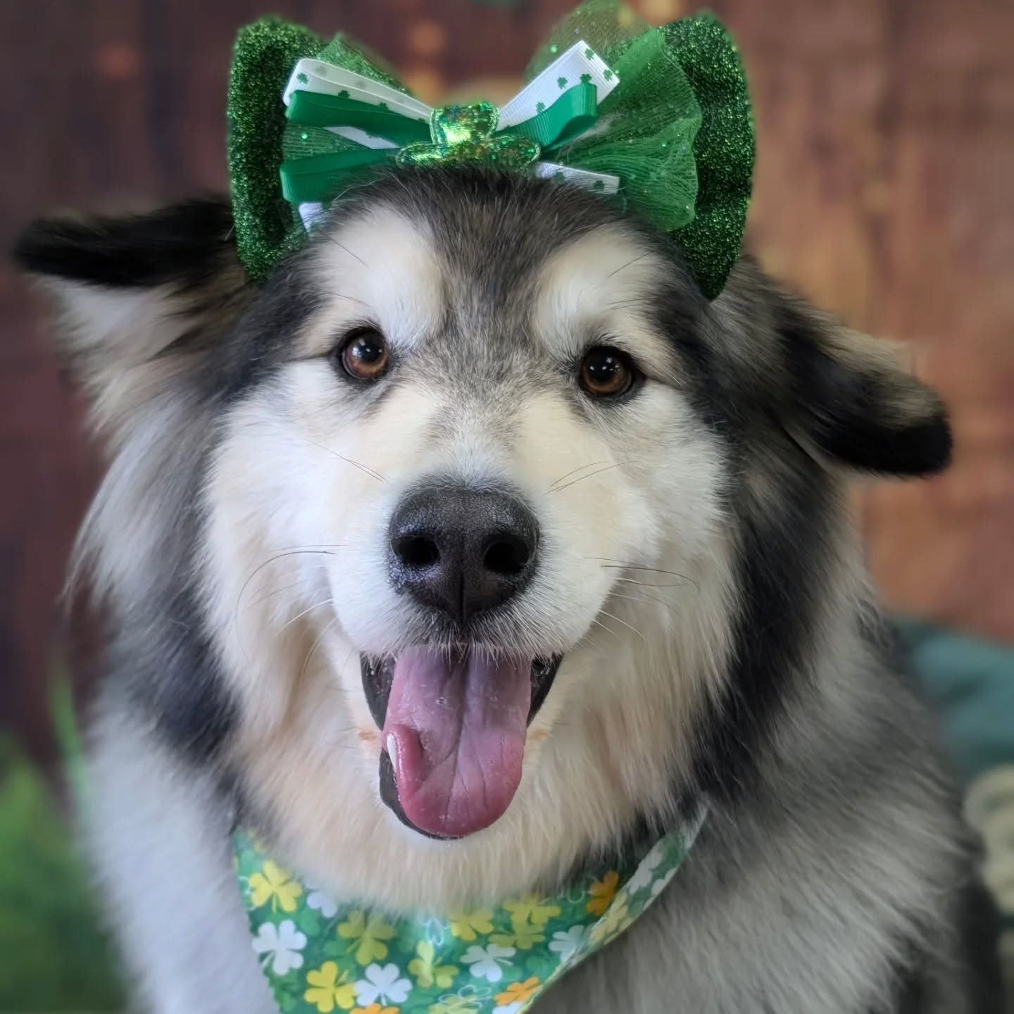 It's my favorite time of year!