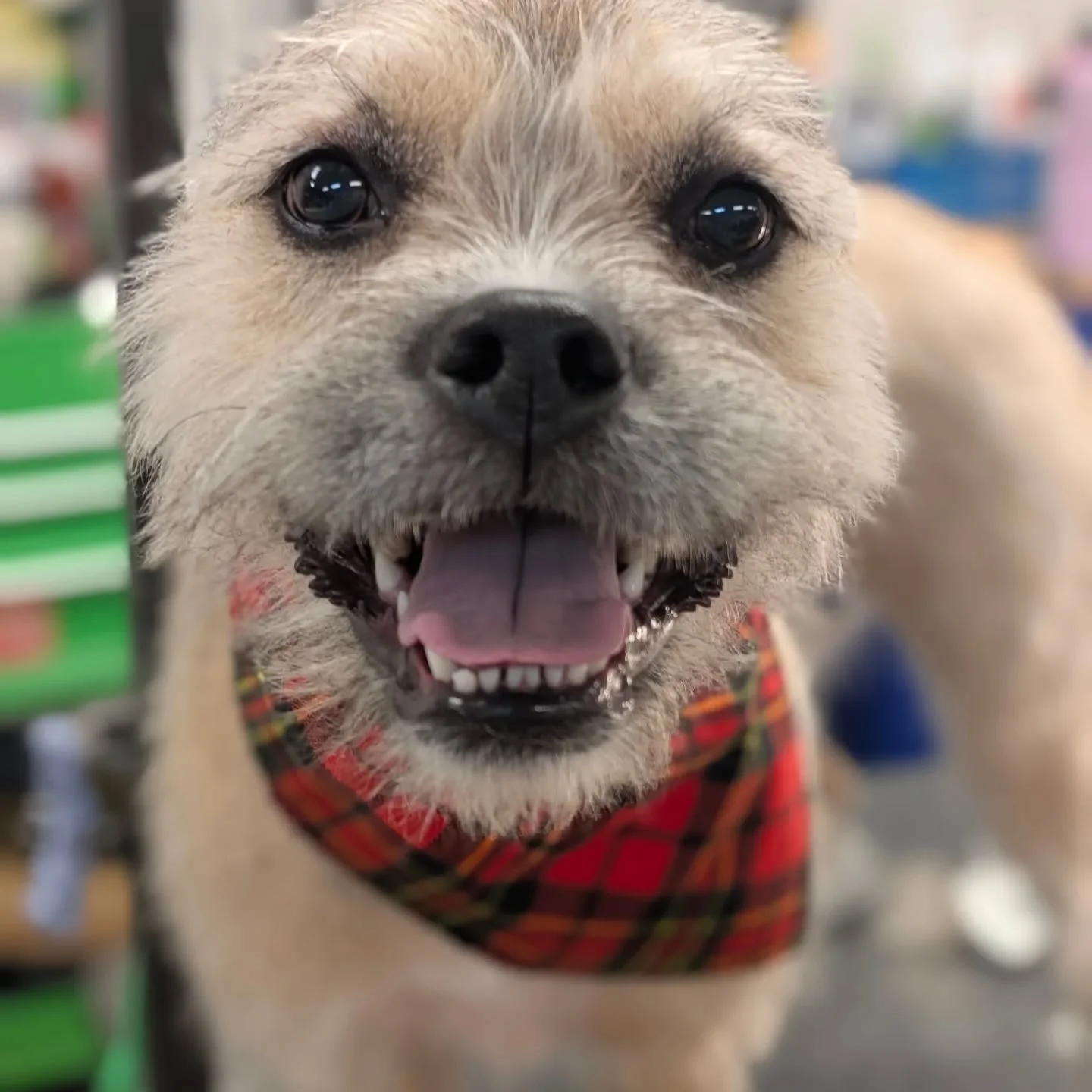 Valentines Day must be close because I am falling in love with these faces!